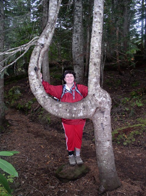 Tom Dick and Harry Peak 078 